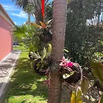 Garden Loft Apartment Ribeira Grande