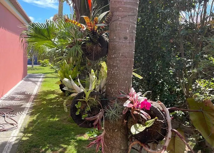 Garden Loft Apartmán Ribeira Grande