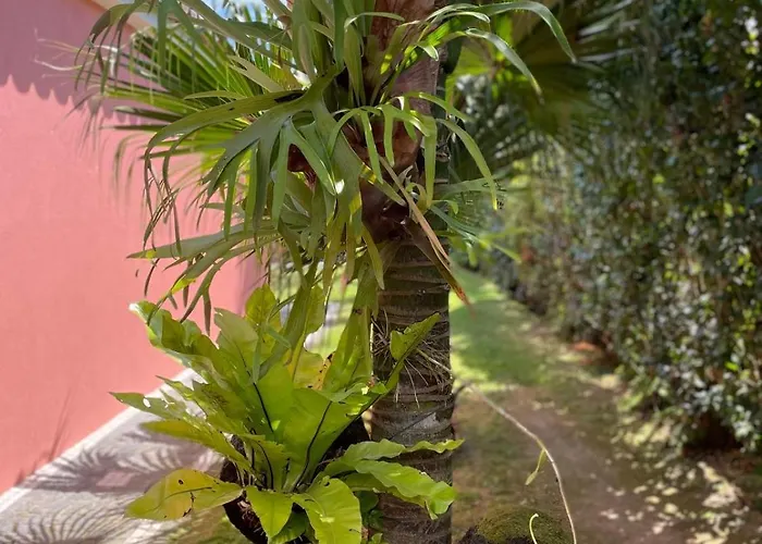 Apartmán Garden Loft