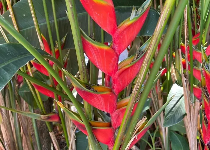 Apartmán Garden Loft *