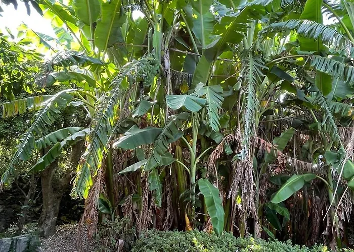 Apartmán Garden Loft