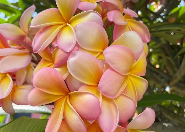 Garden Loft Apartment *