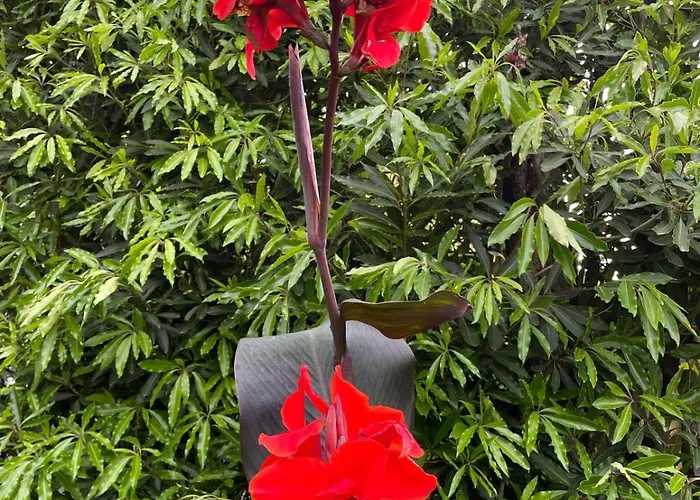 Garden Loft Apartment *